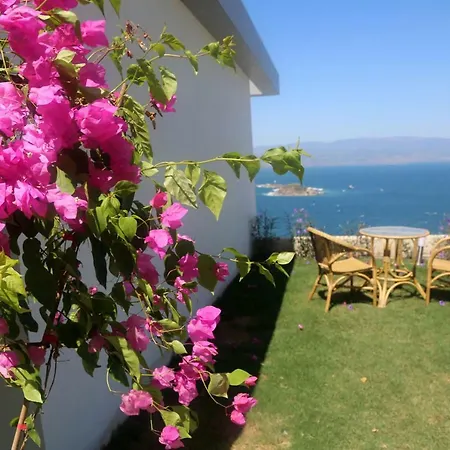 Villa Bodrum Adabuku Luks 2 1 Ozel Plaj Ve Havuzlu Milas