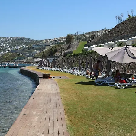 Villa Bodrum Adabuku Luks 2 1 Ozel Plaj Ve Havuzlu *